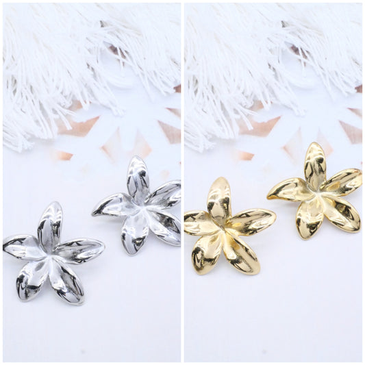 Boule d’oreilles IRIS